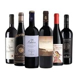 I vini italiani
